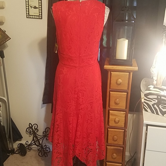 TAYLOR DRESS NWT - Picture 4 of 6